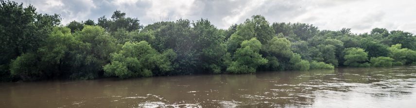 Martin Yaslowitz Photography