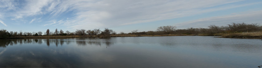 Martin Yaslowitz Photography