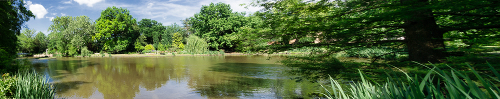 Martin Yaslowitz Photography